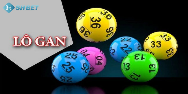 Banner www.k7coffee.vn