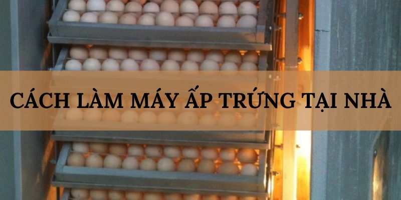 Banner www.k7coffee.vn