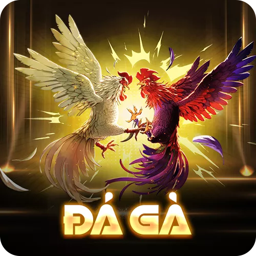 Banner www.k7coffee.vn