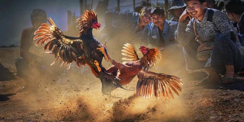 Banner www.k7coffee.vn