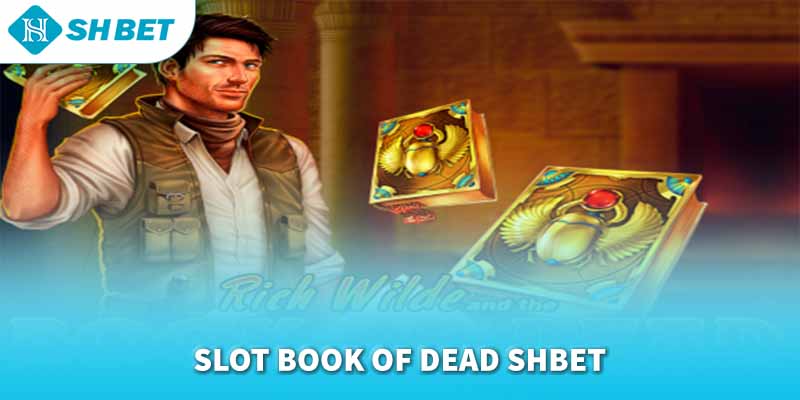 Banner www.k7coffee.vn